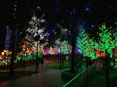 LIGHT SHOW LIGHT SHOW