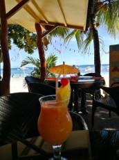 MANGO SHAKE MANGO SHAKE