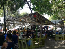 OGLED ZELV PANGLAO OGLED ZELV PANGLAO