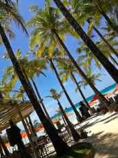 PALME BORACAY