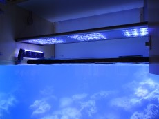 PRODAJA LED SVETILNE ENOTE PRODAJA LED SVETILNE ENOTE