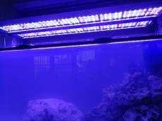 aquarius light aquarius light