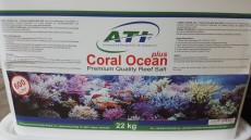 coral ocean morska sol