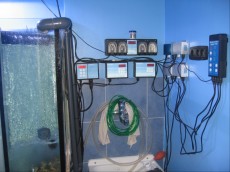 elektronik ain avtomatika - dodatna oprema za morski akvarij elektronik ain avtomatika - dodatna oprema za morski akvarij