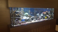 morski biotop morski biotop