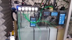 reefdozator reefdozator