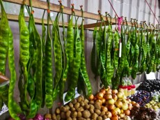 Chowkid market cudna zelenjava Chowkid market cudna zelenjava