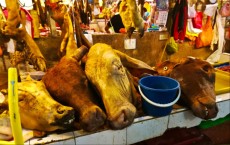 Chowkid market mesnica Kuaal Lumpur Chowkid market mesnica Kuaal Lumpur