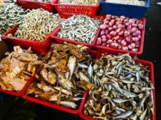 Chowkid market ribja trznica Kuala Lumpur Chowkid market ribja trznica Kuala Lumpur