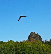 Kilim geoforest park eagle Langkawi