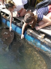 Kilim geoforest park fish feeding