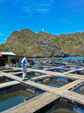 Kilim geoforest park ribja farma