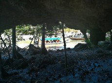 Kilim geoforest park things to do in Langkawi Kilim geoforest park things to do in Langkawi