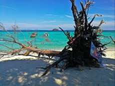Ko Lipe bozanske plaze Ko Lipe bozanske plaze