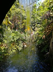 Langkawi waterfall