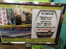 skybridge ticket