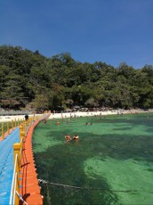 trip to Pulau Payar trip to Pulau Payar