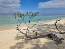 GILI TRAWANGAN BEACH8
