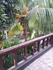 GILI TRAWANGAN HOTEL2