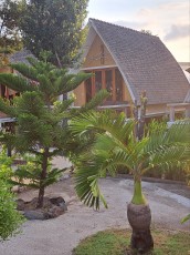 GILI TRAWANGAN HOTELI5