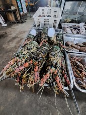 GILI TRAWANGAN NIGT FOOD MARKET3