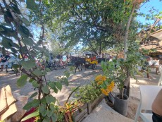 GILI TRAWANGAN PREVOZ KONJ