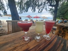 GILI TRAWANGAN SHAKE1