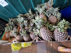 KUALA LUMPUR CHOW KID MARKET10