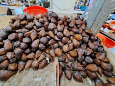 KUALA LUMPUR CHOW KID MARKET14