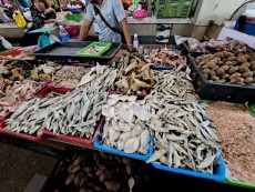 KUALA LUMPUR CHOW KID MARKET16