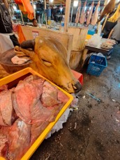 KUALA LUMPUR CHOW KID MARKET21