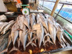 KUALA LUMPUR CHOW KID MARKET25