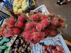 KUALA LUMPUR CHOW KID MARKET4