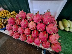 KUALA LUMPUR CHOW KID MARKET6