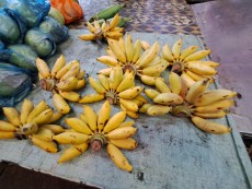 KUALA LUMPUR CHOW KID MARKET7