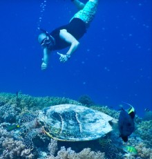 TURTLE GILI TRAWANGAN14