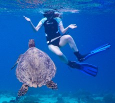 TURTLE GILI TRAWANGAN1