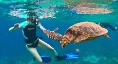 TURTLE GILI TRAWANGAN4