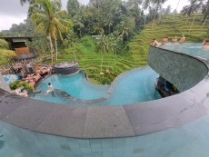 UBUD POOL