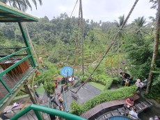 UBUD RIZEVE TERASE