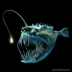 angler fish