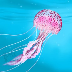 mesicinka meduza mesicinka meduza