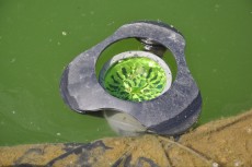 SKIMMER SKIMMER