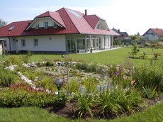 prodaja ribniskih rastlin prodaja ribniskih rastlin