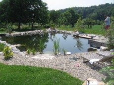 swim pond swim pond
