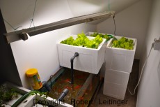 aquaponic AQUA-RO-DESIGN