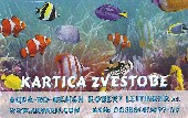 AQUA-RO-DESIGN - KARTICA ZVESTOBE AQUA-RO-DESIGN - KARTICA ZVESTOBE
