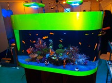 morski akvarij
