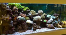 AQUA-RO-DESIGN AQUA-RO-DESIGN