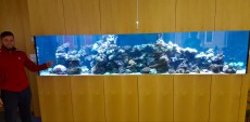 SEA AQUARIUM SEA AQUARIUM